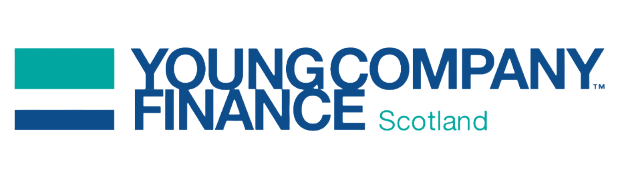 Young Company Finance